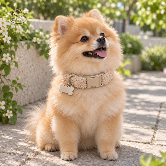 Teddy Loop – Soft Collar