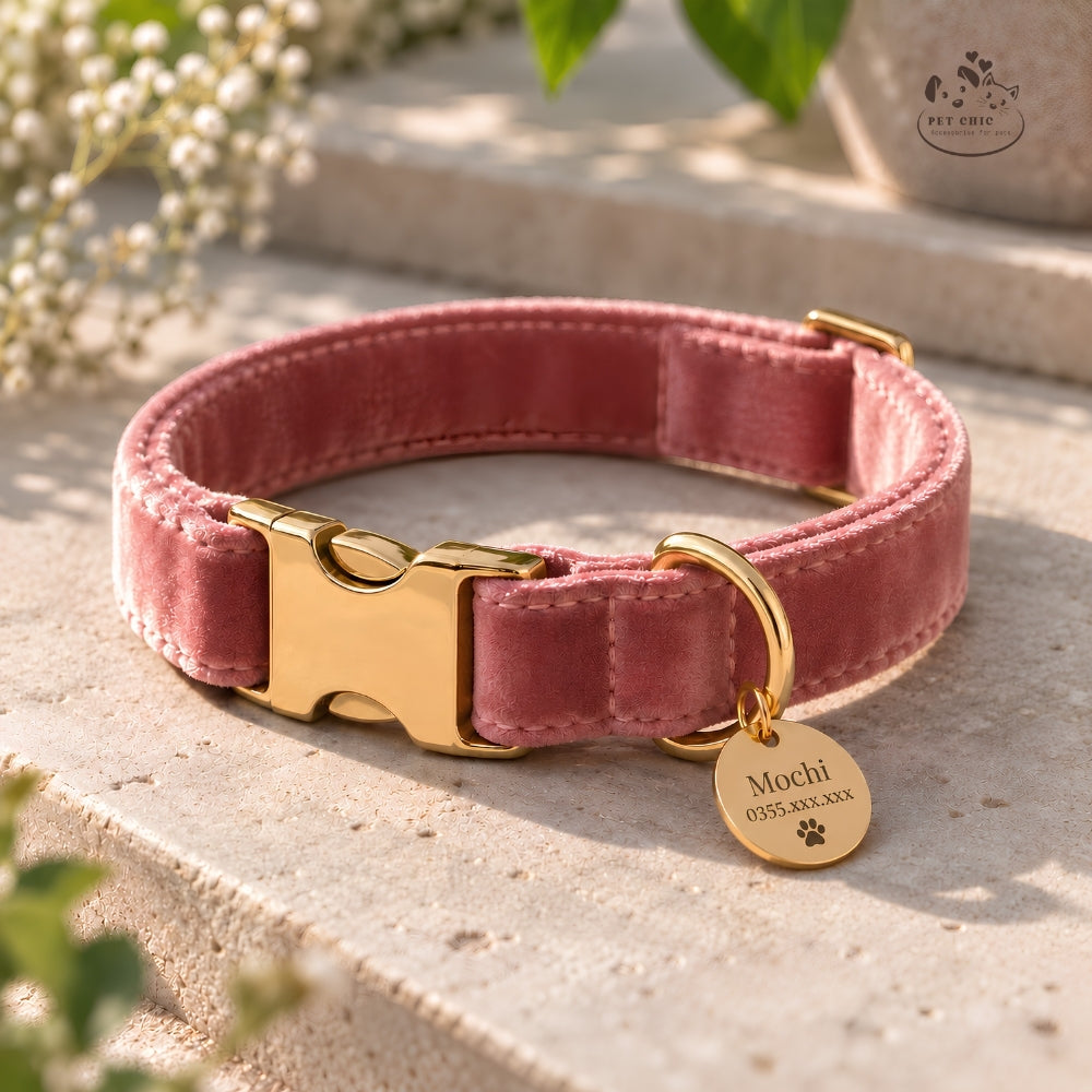 Luna Gold – Velvet Collar