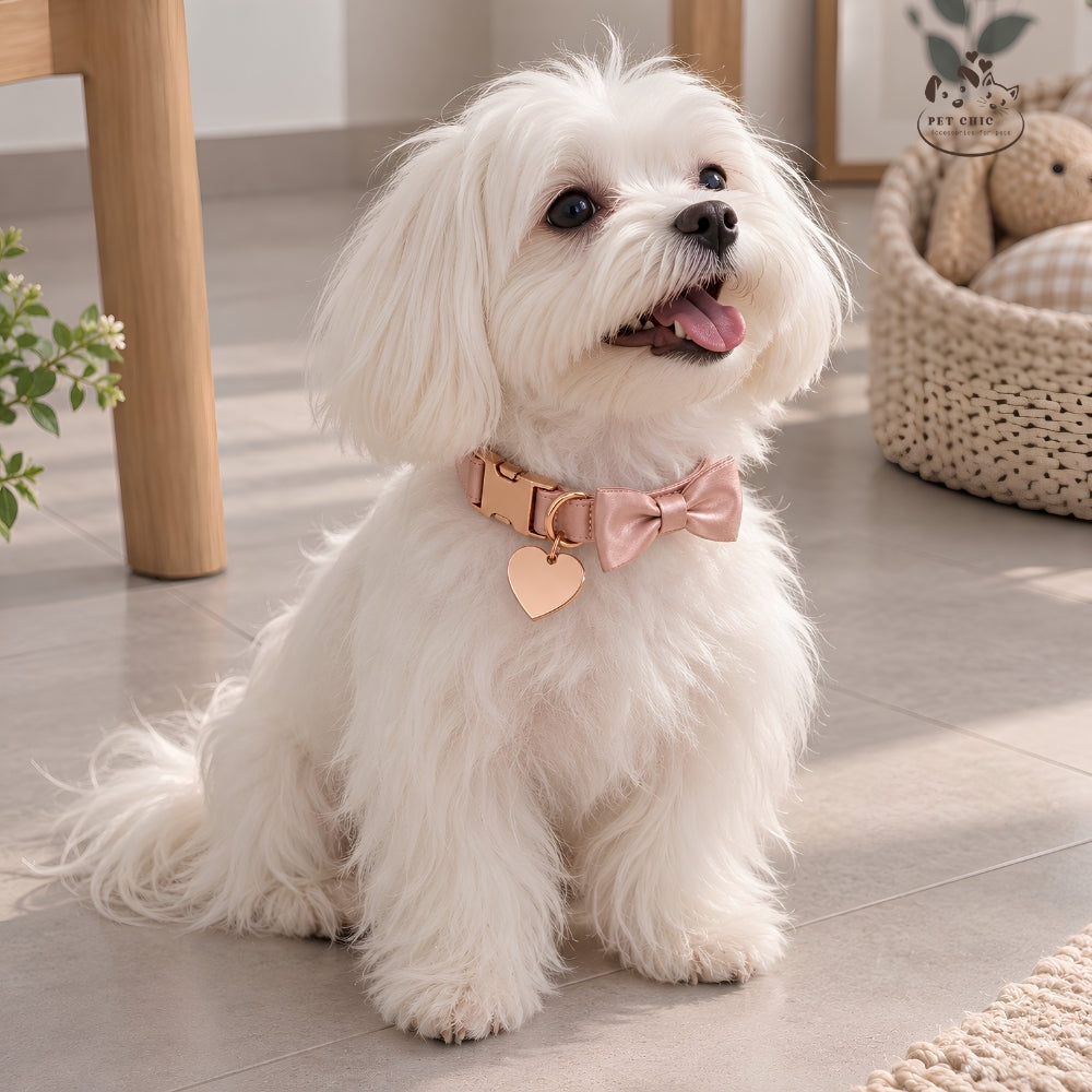 Pearl Bow – Signature Collar