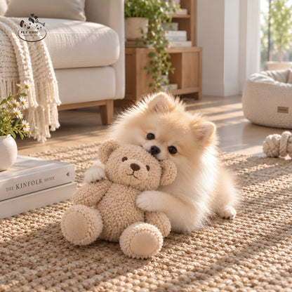 Teddy Bear – Plush Dog Toy