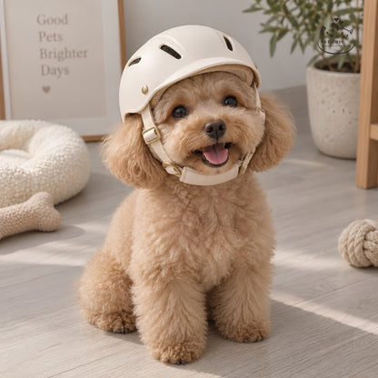 Luna Ride – Pet Safety Helmet