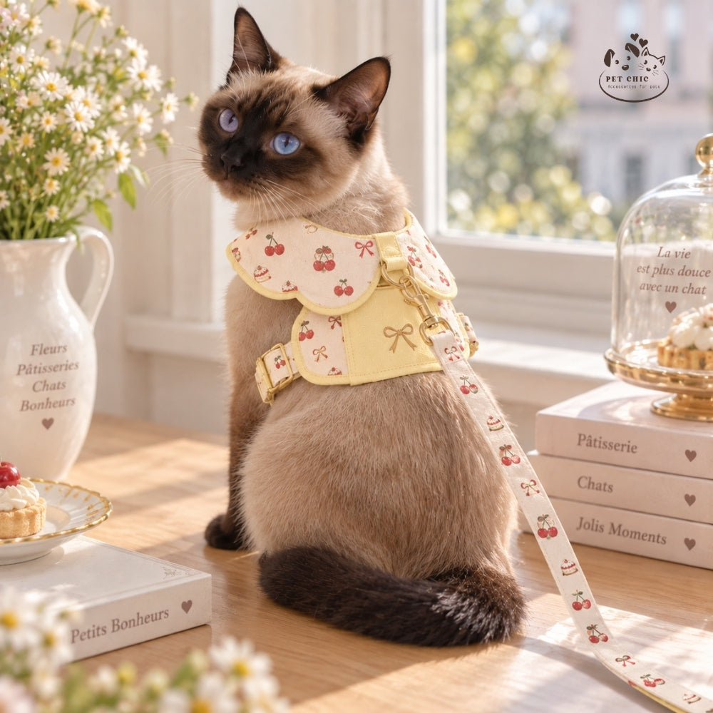 Pâtisserie – Yếm Peter Pan & Dây Dắt Cho Mèo