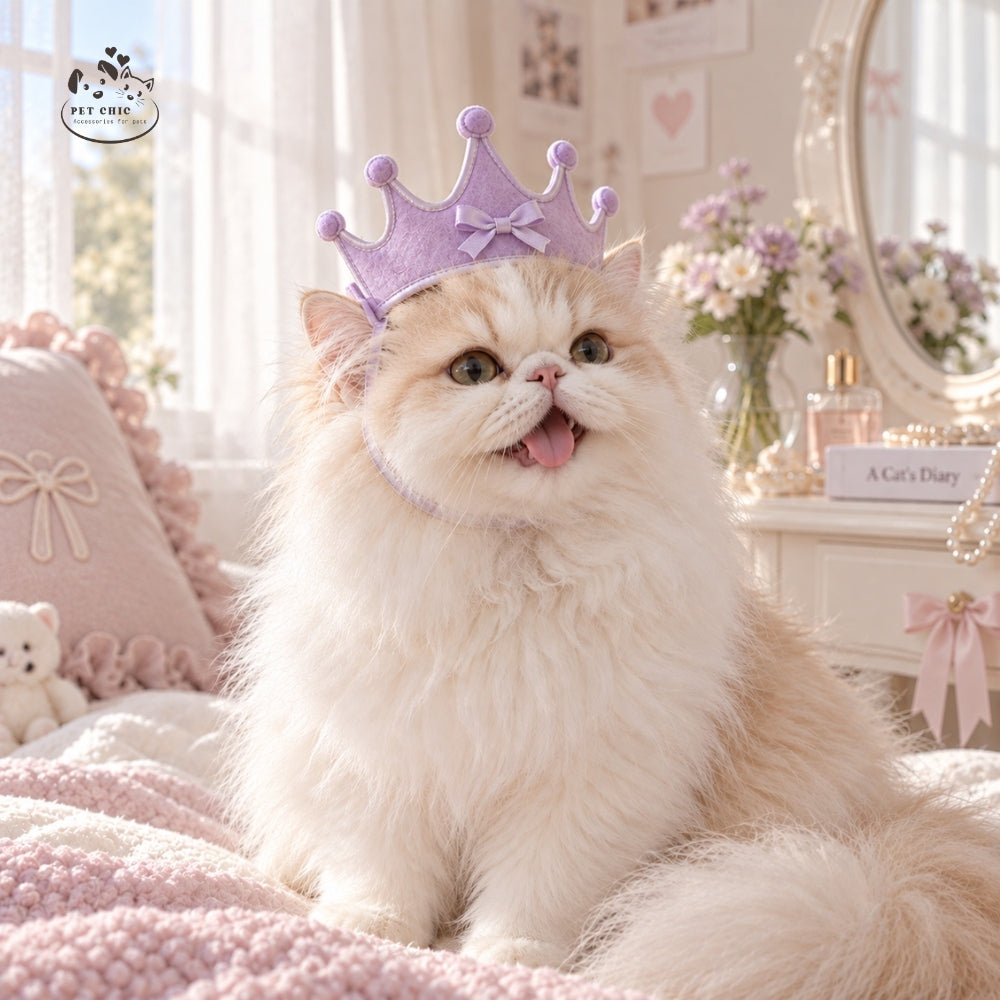 Whisker Crown – Vương miện Đội Đầu Cho Mèo