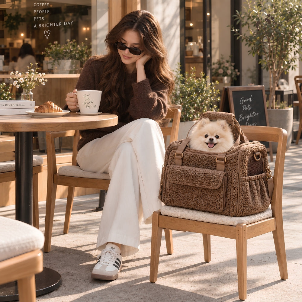 Teddy Hug – Cozy Pet Carrier
