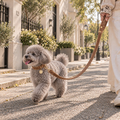 Luna Gold Leash