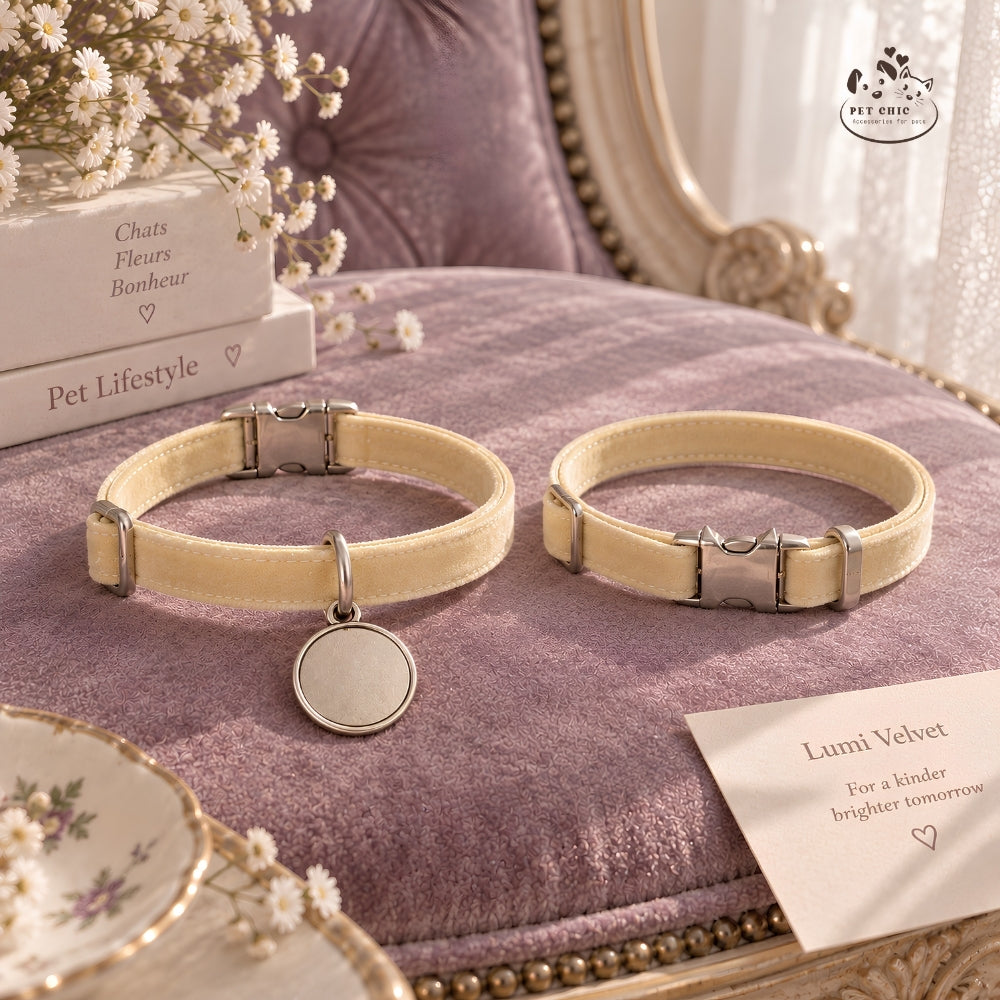 Lumi Velvet – Vòng Cổ Nhung Cá Nhân Hóa Khắc Tên Cho Mèo
