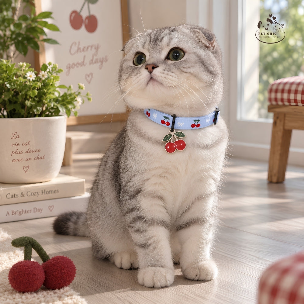 Cherry Pop – Vòng Cổ Cá Nhân Hóa Khắc Tên Cho Mèo