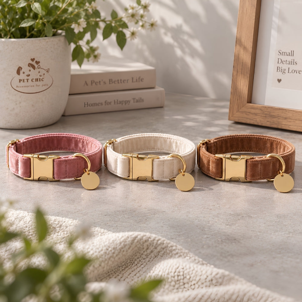 Luna Gold – Velvet Collar