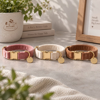 Luna Gold – Velvet Collar