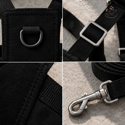 Noir Atelier – Yếm & Dây Dắt Minimalist Urban Cho Mèo