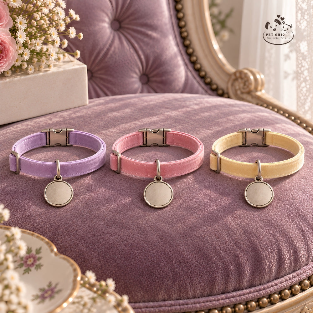 Lumi Velvet – Vòng Cổ Nhung Cá Nhân Hóa Khắc Tên Cho Mèo