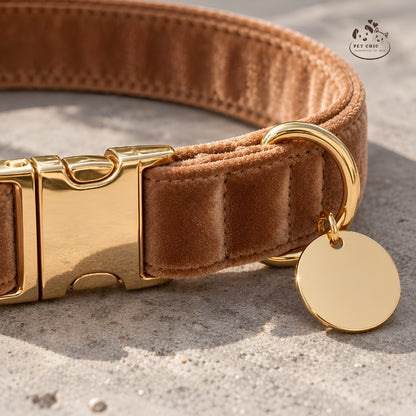 Luna Gold – Velvet Collar