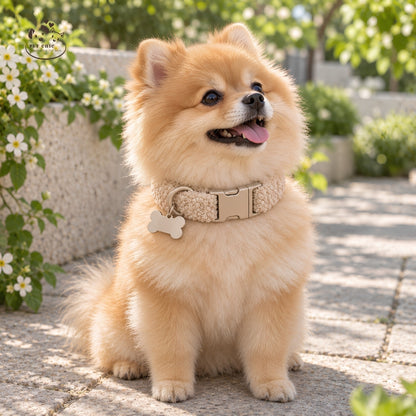 Teddy Loop – Soft Collar