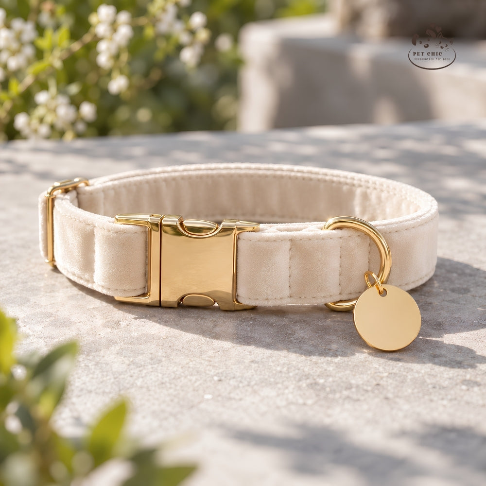 Luna Gold – Velvet Collar