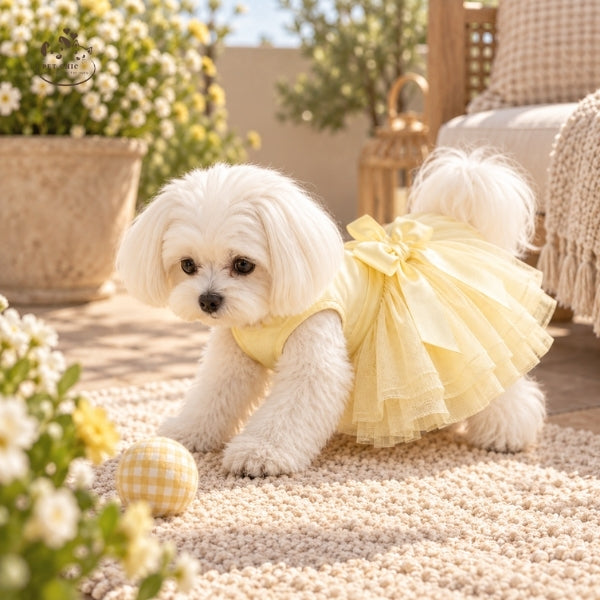 Ribbon – Váy Nơ Thanh Lịch Cho Chó