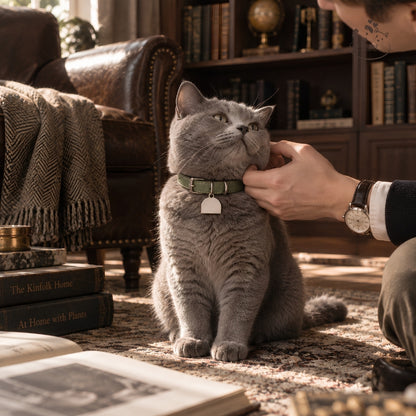 Olive Atelier – Vòng Cổ Da Cá Nhân Hóa Khắc Tên Cho Mèo