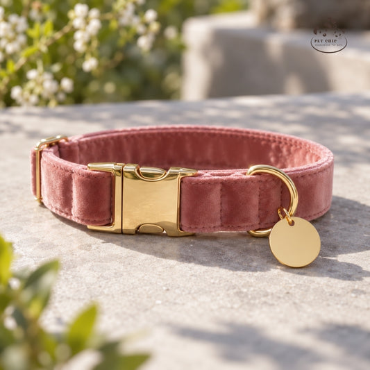 Luna Gold – Velvet Collar