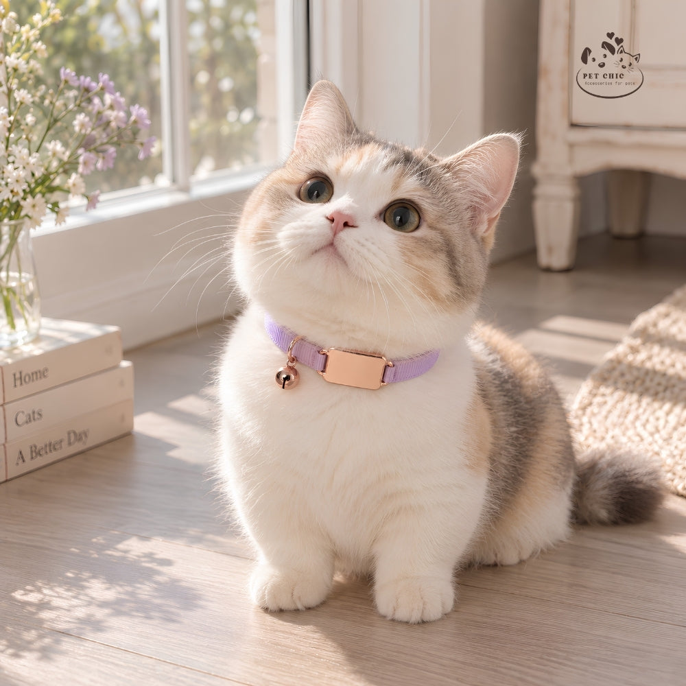 Mia Ribbon – Vòng Cổ Cá Nhân Hóa Khắc Tên Cho Mèo