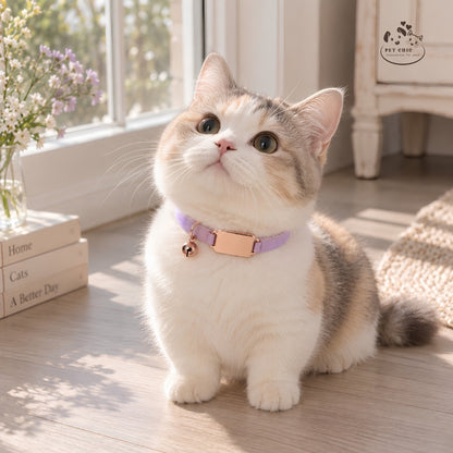 Mia Ribbon – Vòng Cổ Cá Nhân Hóa Khắc Tên Cho Mèo