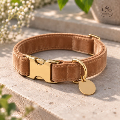 Luna Gold – Velvet Collar