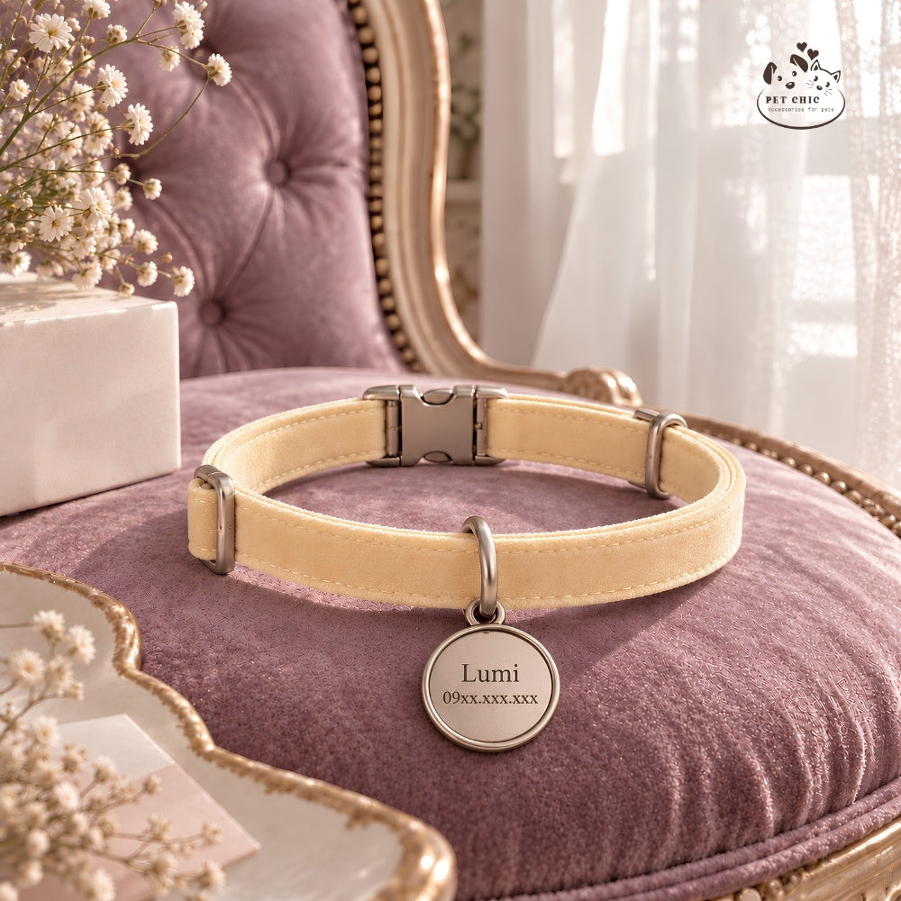Lumi Velvet – Vòng Cổ Nhung Cá Nhân Hóa Khắc Tên Cho Mèo